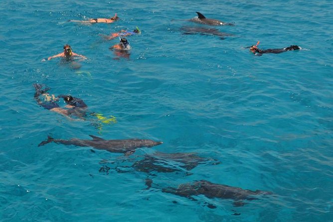 Dolphin House sea trip - The boat ride and the open Red Sea