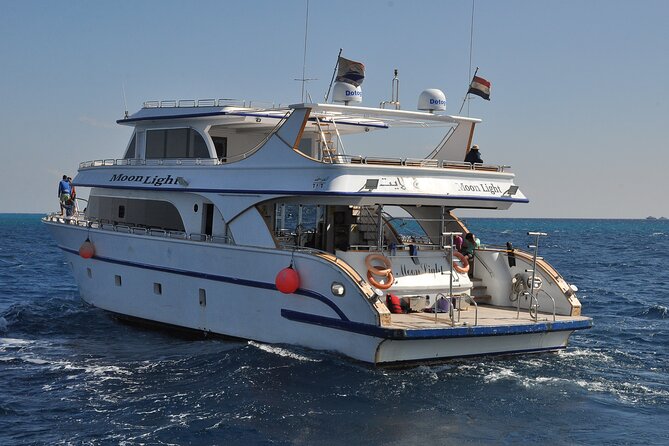 Dolphin House Snorkel & Water Fun Activity with Lunch - Hurghada - Practical Details Before You Go