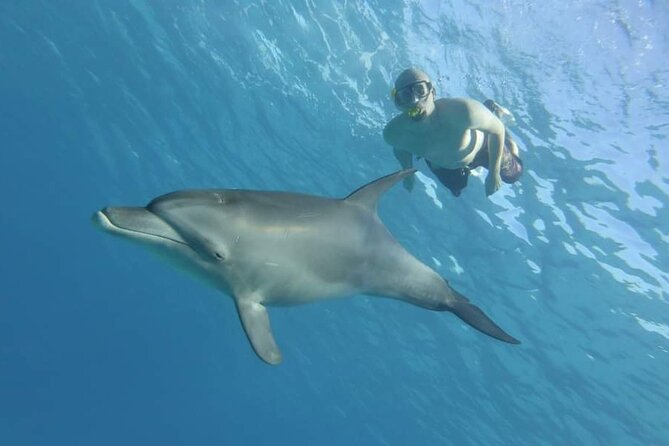 Dolphin House Snorkeling Fun in Hurghada - The first snorkeling stop and Red Sea coral