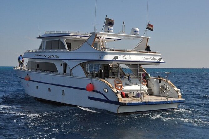 Dolphin House Snorkeling Sea Trip, Water Sport , Lunch - Hurghada - Setting out from Hurghada at 8:00 am