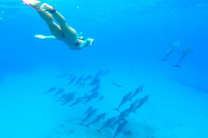 Dolphin House Snorkeling Sea Trip, Water Sport , Lunch - Hurghada - Banana boats, sofa rides, and time between swims