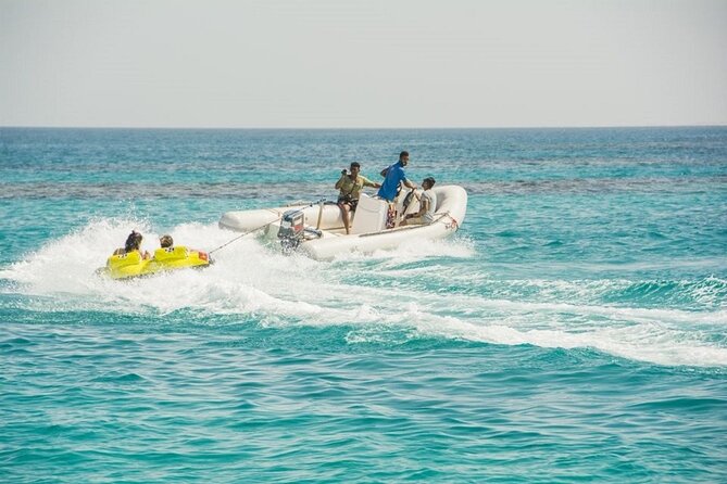 Dolphin House Snorkeling Sea Trip, Water Sport , Lunch - Hurghada - Who should book this Dolphin House trip?