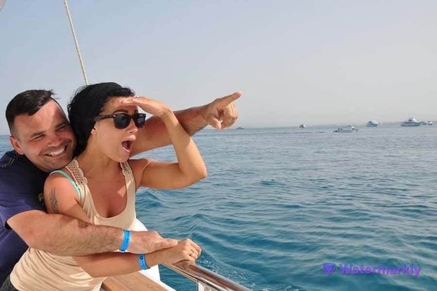 Dolphin house snorkeling trip - A full day from Hurghada to the Red Sea