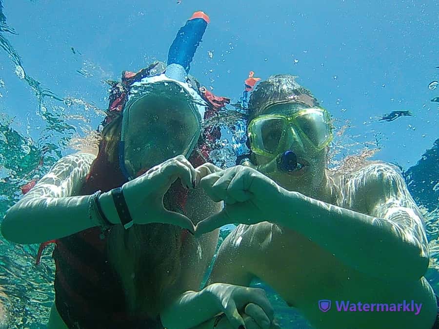 Dolphin house snorkeling trip - Practical details that can save you trouble