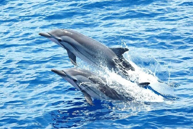 Dolphin House Snorkeling Trip & Water Sport With Lunch - Hurghada - Cruising Toward Dolphin House