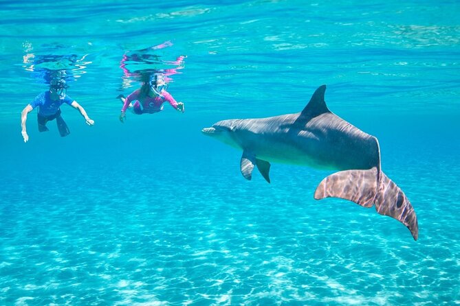 Dolphin House Snorkeling Trip & Water Sport With Lunch - Hurghada - Lunch, Coffee, Tea, and Time on Deck