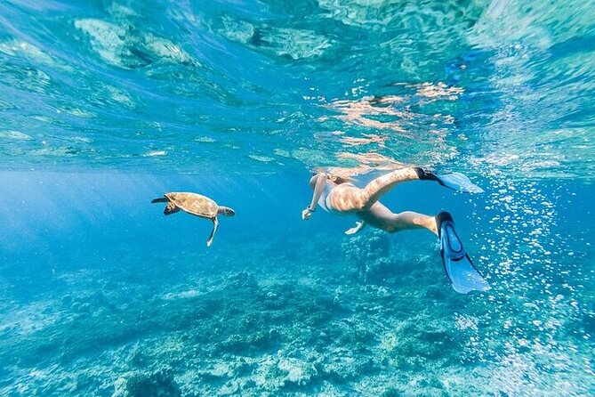 Dolphin House Snorkeling Trip & Water Sport With Lunch - Hurghada - Practical Ways to Prepare