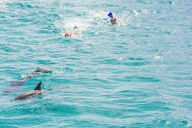 Dolphin House Snorkeling Trip & Water Sports with Lunch -Hurghada - What to bring for a smoother day