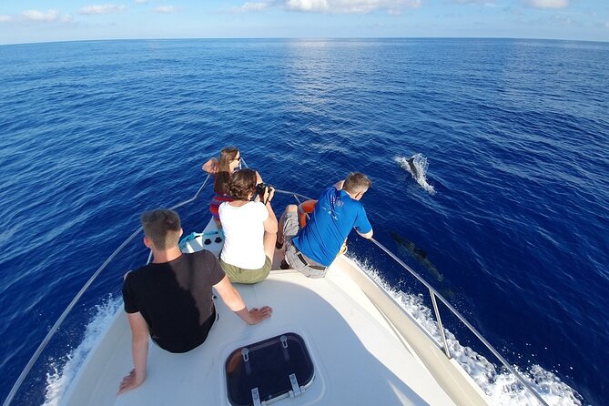 Dolphin house Snorkeling trip with Banan & Sofa Boat in Hurghada - Two snorkeling stops over Red Sea coral