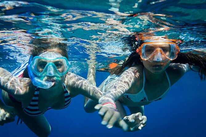 Dolphin House With Snorkeling & Lunch -Hurghada - Starting at Hurghada Marina around 8:00 a.m.
