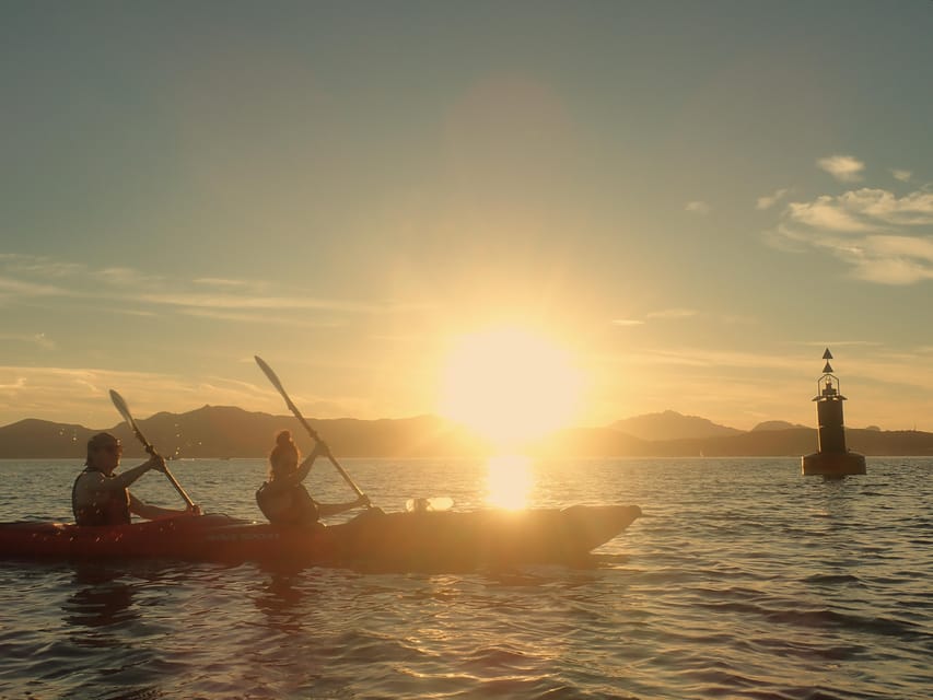 Dolphin Kayak Safari at Sunset at Golfo Aranci - Key points to know before you book