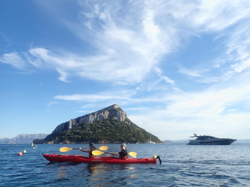 Dolphin Kayak Safari at Sunset at Golfo Aranci - Snorkeling near clear water and rocky coast