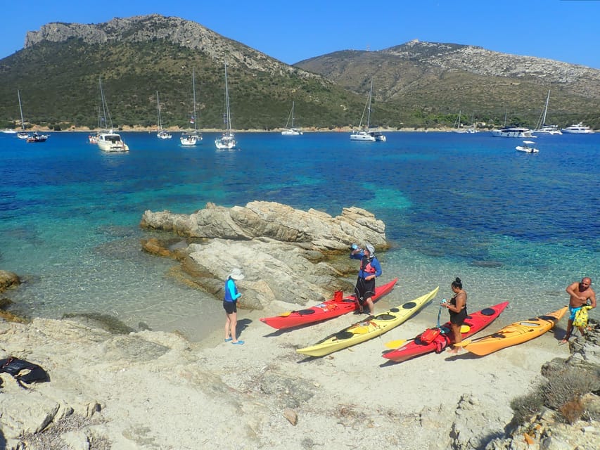 Dolphin Kayak Safari at Sunset at Golfo Aranci - Is $62 good value for three hours?