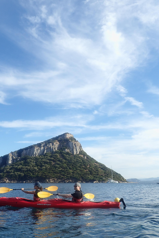 Dolphin Kayak Safari at Sunset at Golfo Aranci - Meeting at Prima Spiaggia in Golfo Aranci