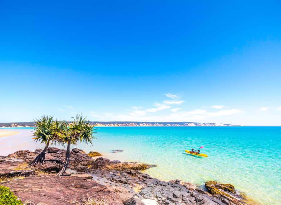 Dolphin Kayak Tour & Beach 4X4 National Park Tour (Private) - Surfing and SUP for first-timers