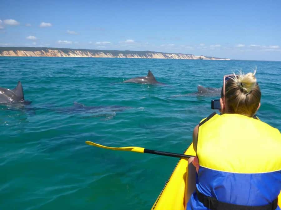 Dolphin Kayak Tour & Beach 4X4 National Park Tour (Private) - The seven-hour schedule and practical comfort