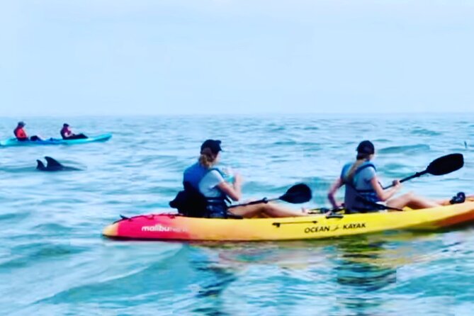Dolphin Kayak Tour in Virginia Beach Must know how to swim - Leaving Virginia Beach behind at Lynnhaven Bay