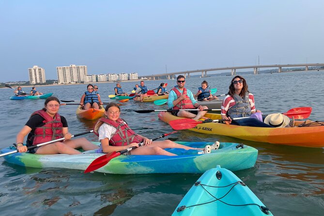 Dolphin Kayak Tour in Virginia Beach Must know how to swim - Short talks that give your arms a rest