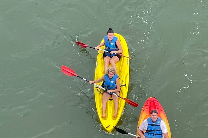 Dolphin Kayak Tour in Virginia Beach Must know how to swim - A small group of no more than six