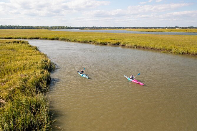 Dolphin Kayak Tour on Folly Beach - Key points to know before you book