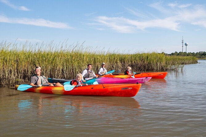 Dolphin Kayak Tour on Folly Beach - Why dolphins make this Folly Beach paddle special