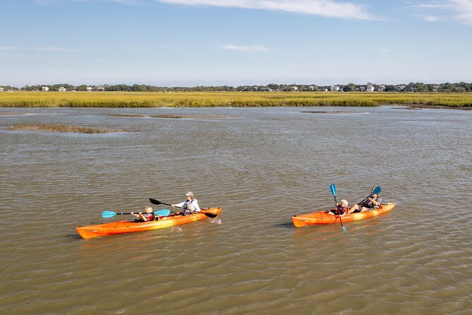 Dolphin Kayak Tour on Folly Beach - What $55 really gets you