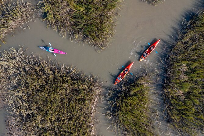 Dolphin Kayak Tour on Folly Beach - Meeting at 83 Center Street