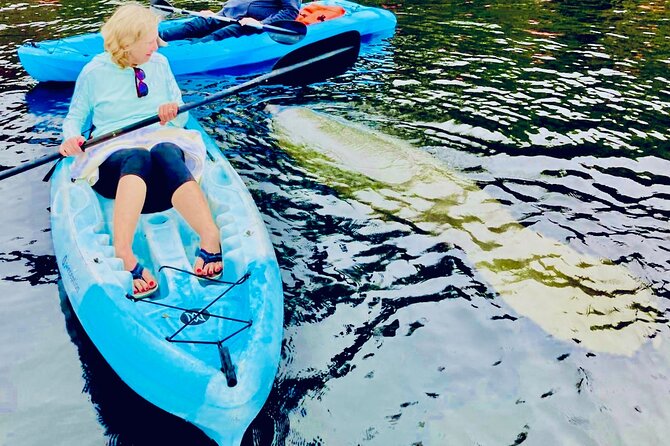 Dolphin, Manatee and Sea Turtle Kayak Adventure - Paddling St. Augustine’s Coastal Waterways