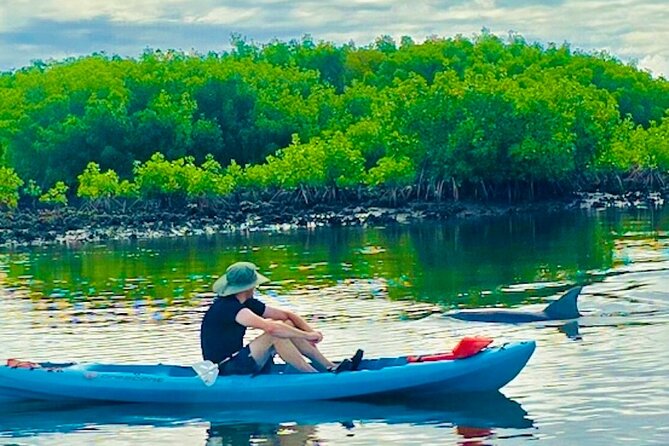 Dolphin, Manatee and Sea Turtle Kayak Adventure - Kayak or Paddle Board?