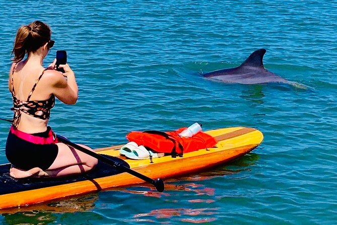 Dolphin, Manatee and Sea Turtle Kayak Adventure - Who Will Enjoy This Most?