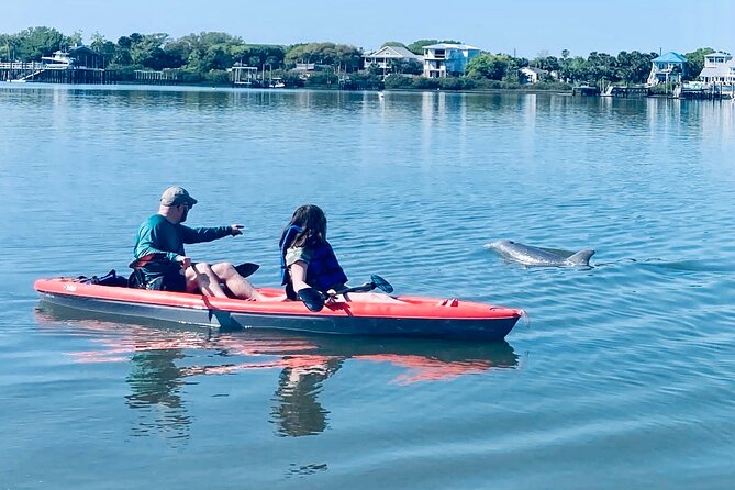 Dolphin, Manatee and SeaTurtle SUP Adventure Tour of St Augustine - Quick points to know