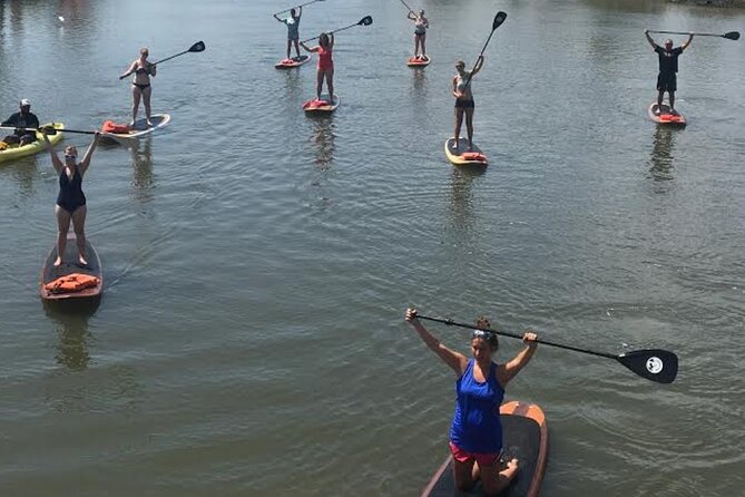 Dolphin, Manatee and SeaTurtle SUP Adventure Tour of St Augustine - What the $65 price really gets you