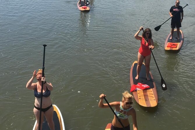 Dolphin, Manatee and SeaTurtle SUP Adventure Tour of St Augustine - Weather, timing, and the cancellation risk