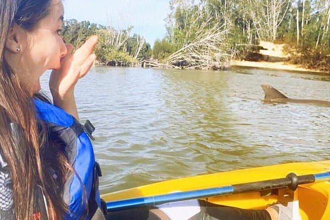 Dolphin & Manatee Kayaking Tour in Orlando Area - Key points to know before you go