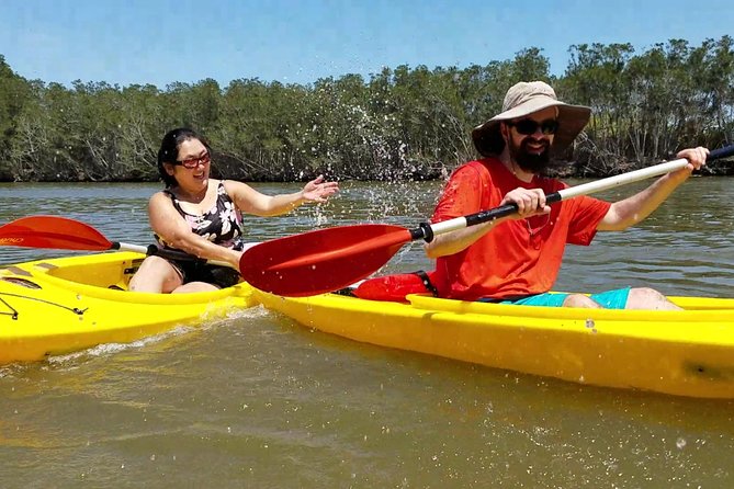 Dolphin & Manatee Kayaking Tour in Orlando Area - Dolphins, alligators, and a full bird list
