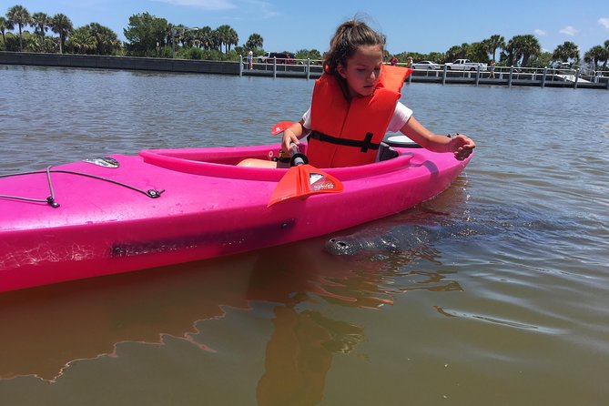 Dolphin & Manatee Kayaking Tour in Orlando Area - Mangroves, breaks, and the pace of two hours