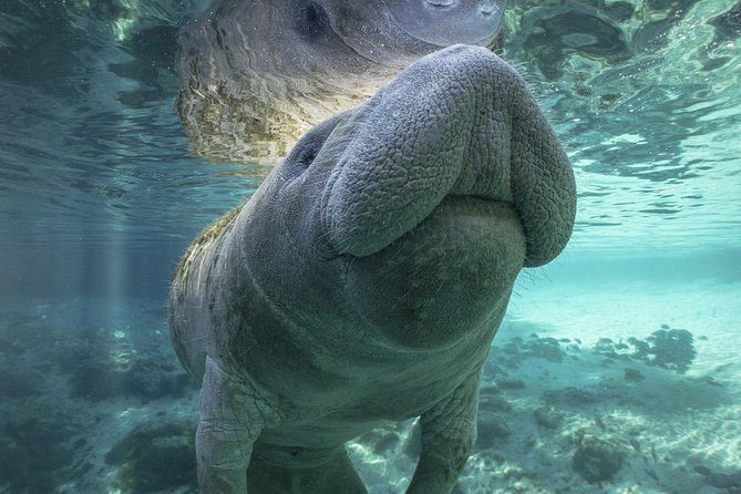 Dolphin & Manatee Kayaking Tour in Orlando Area - The first paddle: getting comfortable on the water