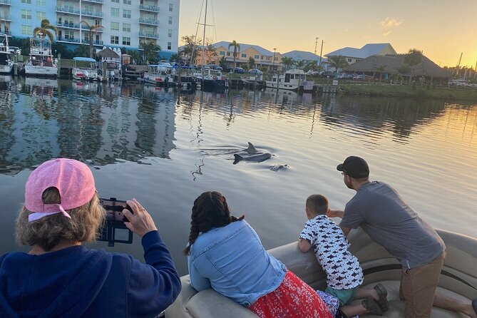 Dolphin/Manatee Pontoon Boat Tour with Local Expert - Key points to know