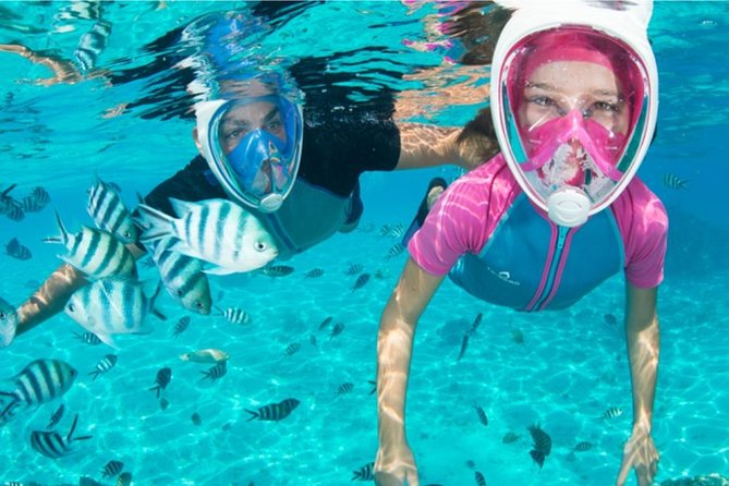 Dolphin Mini Cruise at Playa del Carmen - The swim and snorkel stop