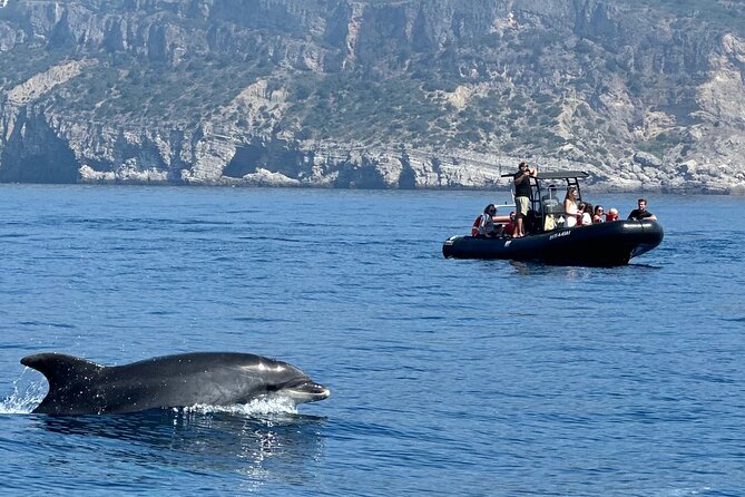 Dolphin Observation Boat Tour from Sesimbra - Leaving Sesimbra for the Atlantic