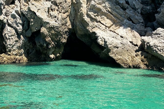Dolphin Observation Boat Tour from Sesimbra - Weather, cancellations, and the real trade-off