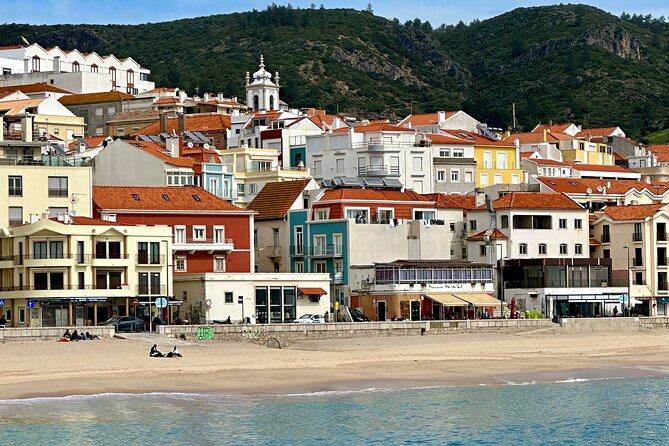 Dolphin Observation Boat Tour from Sesimbra - Who will enjoy this boat trip most?