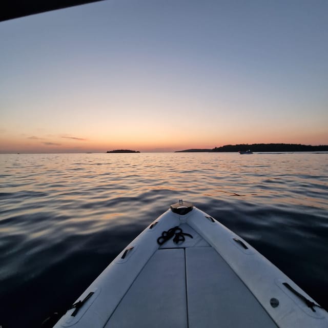 Dolphin private sunset tour Rovinj - Island views, calm water, and a glass of local wine