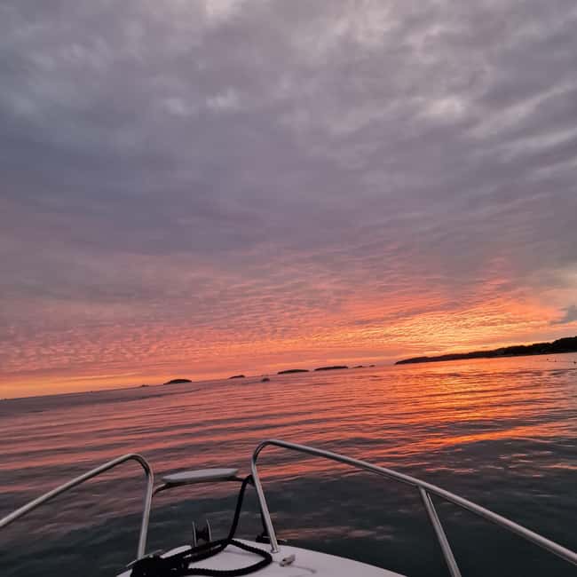 Dolphin private sunset tour Rovinj - What the private price means for your group