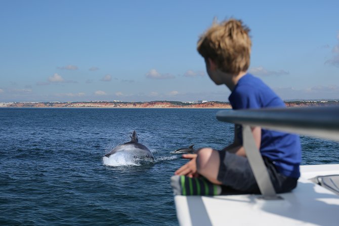 Dolphin Quest & Marine Life Search - Key points to know before you book
