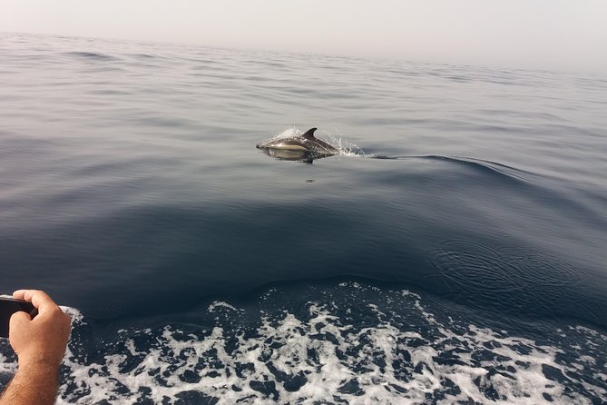 Dolphin Route - Setting out from Peniche at 9:30 a.m.