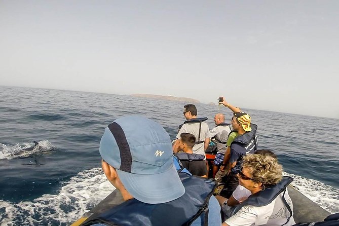 Dolphin Route - A small boat with a fast Atlantic ride