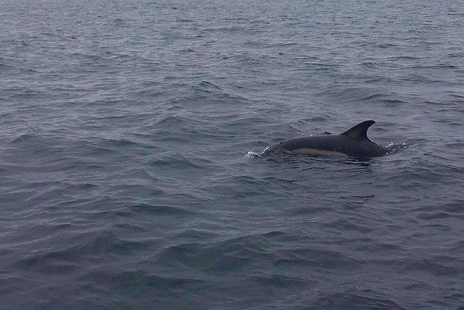 Dolphin Route - How weather can change the day