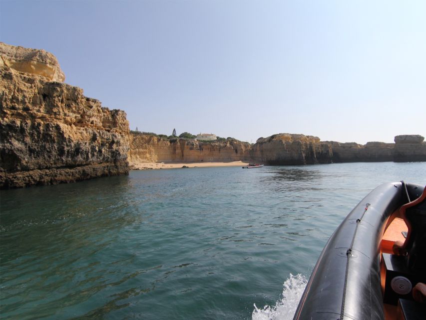 Dolphin Safari and Cave Tour in Vilamoura - What the Boat Ride Feels Like