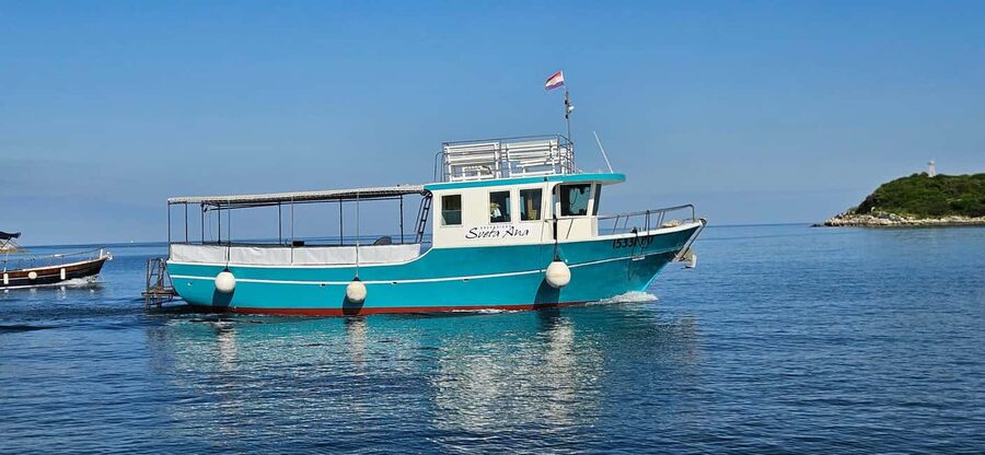 Dolphin Safari Boat Trip from Marina Funtana - Finding Sveta Ana at Funtana Marina